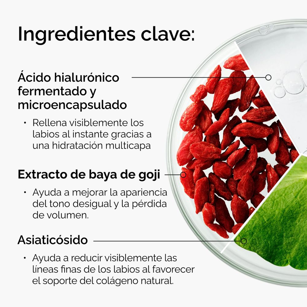 HA + ASIATICOSIDE LIP TREATMENT THE ORDINARY (B&Aacute;LSAMO PARA LABIOS CON &Aacute;CIDO HIALUR&Oacute;NICO Y ASIATIC&Oacute;SIDO)